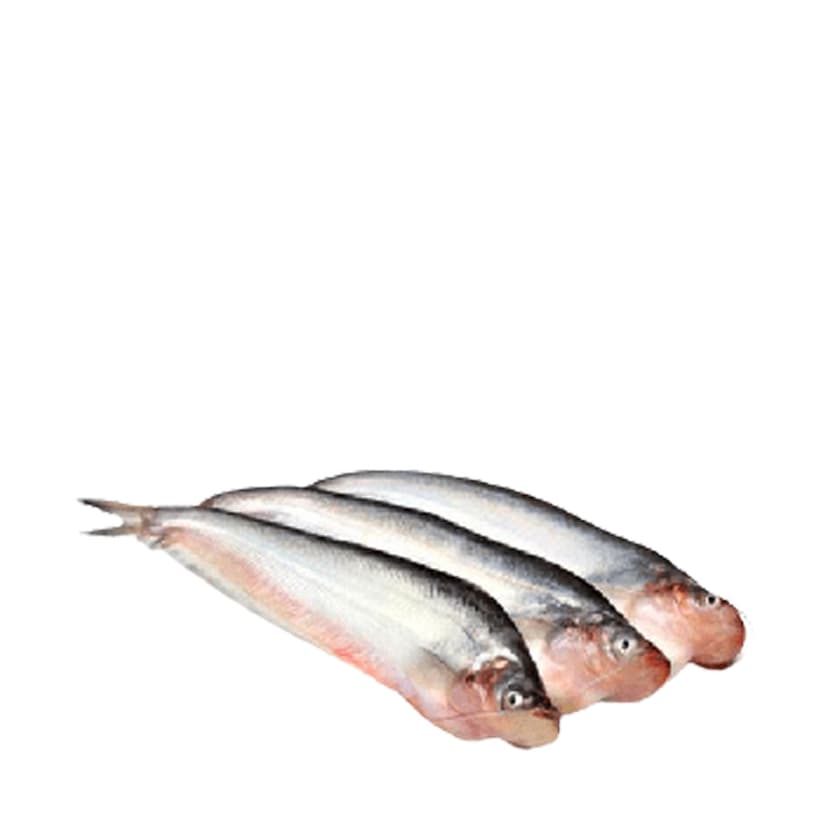 Pabda Fish 500g