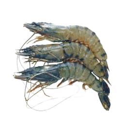 Bagda Chingri (Shrimp) 500g 1
