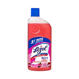 Lizol Disinfectant Surface & Floor Cleaner Floral 1