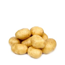 Potato Regular  1