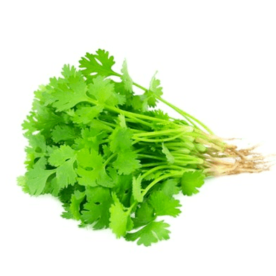 Coriander Leaves (Dhonia Pata)
