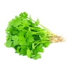Coriander Leaves (Dhonia Pata)