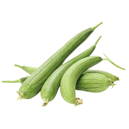 Dhundhul (Sponge Gourd) 