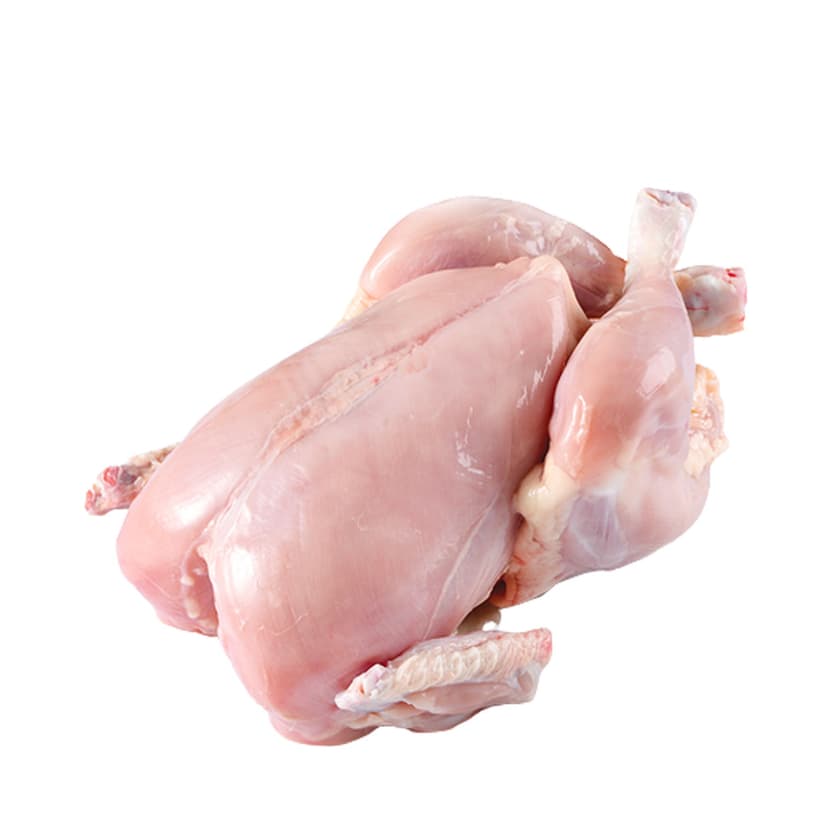Layer Chicken Skin Off