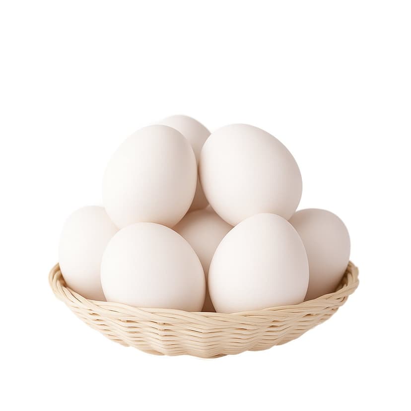 Chicken Eggs White