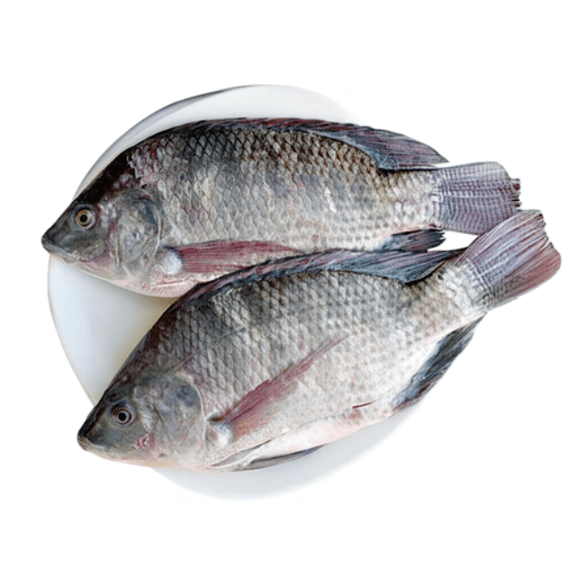 Telapiya Fish 1kg